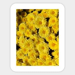 Mums yellow flowers Mother's day Sticker